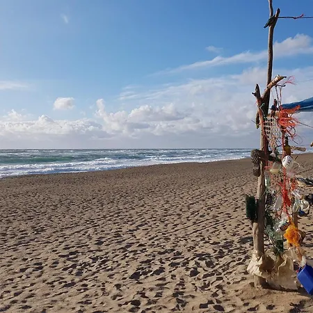 10 Person In Harboore *